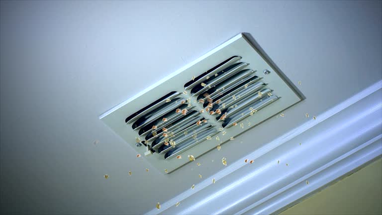 Best Affordable Air Duct Cleaning  in Connell, WA